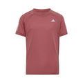 Club T-shirt Flickor - berry,
