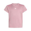 gammal rosa_34467